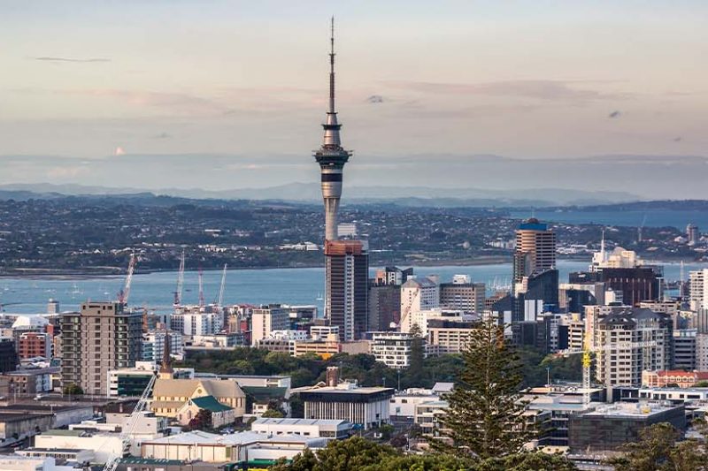 Study in New Zealand