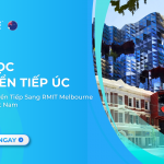 du-hoc-chuyen-tiep-uc-rmit-melbourne