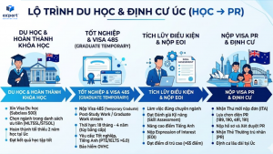 "Infographic