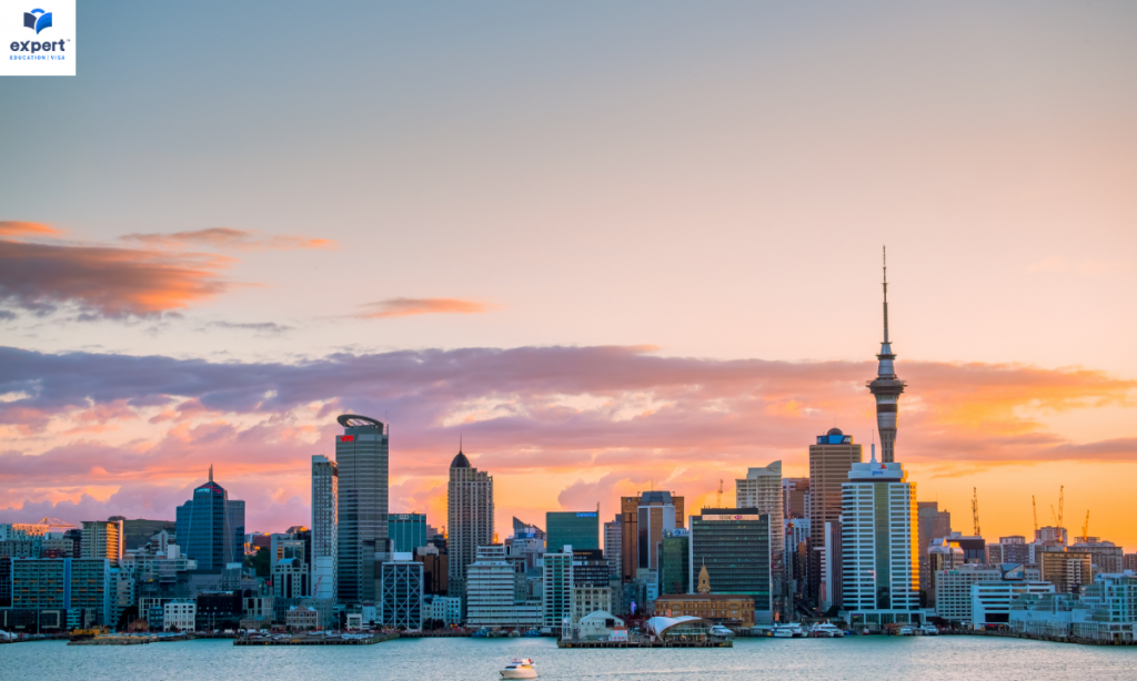 Du học New Zealand ngành Quản trị Kinh doanh
