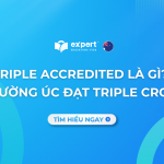 Triple-Accredited-là-gì-3-trường-Úc-đạt-Triple-Crown