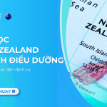 Du học New Zealand ngành Điều dưỡng Lộ trình từ học đến định cư