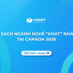 ngành nghề khát nhân lực