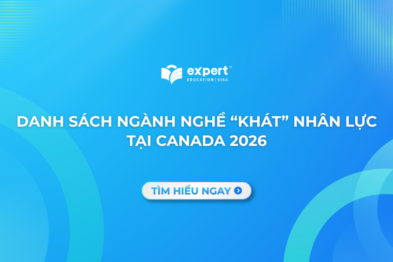 ngành nghề khát nhân lực