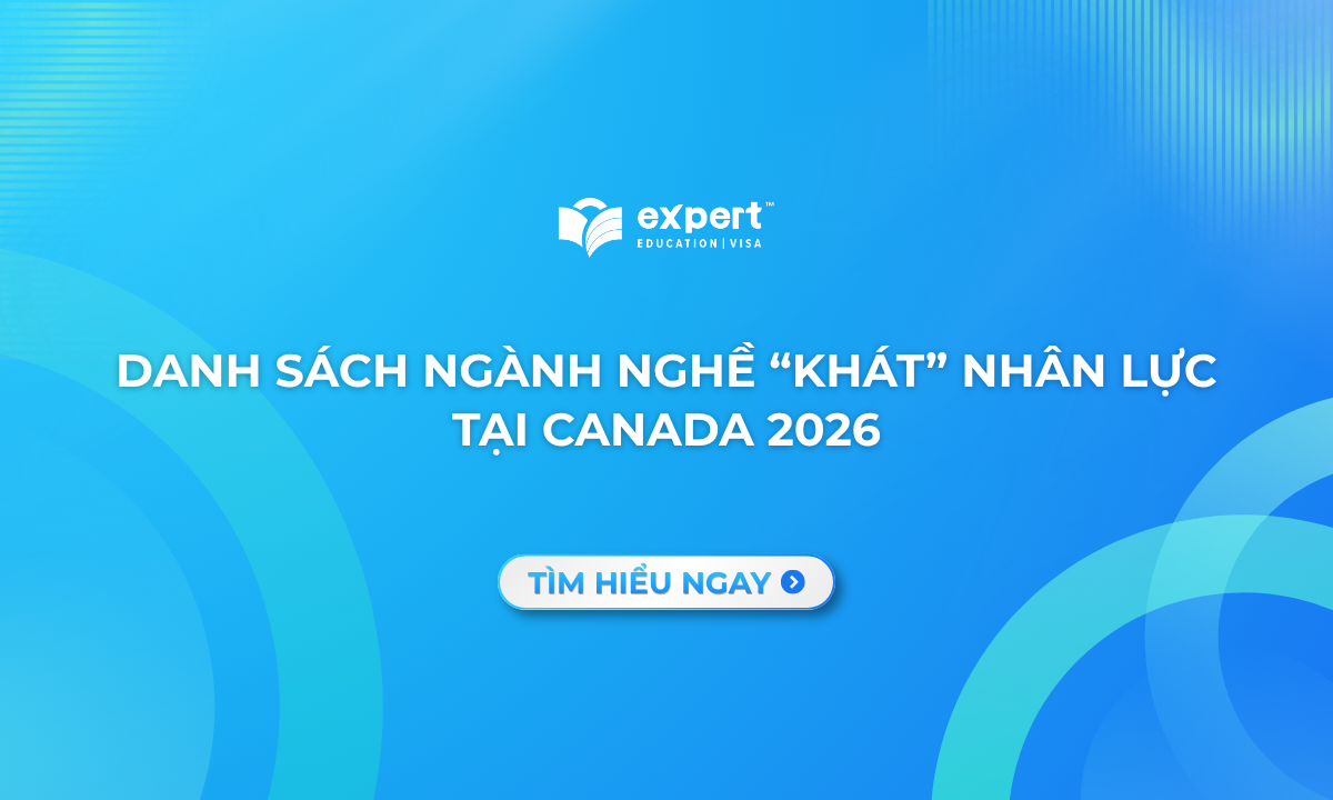 ngành nghề khát nhân lực