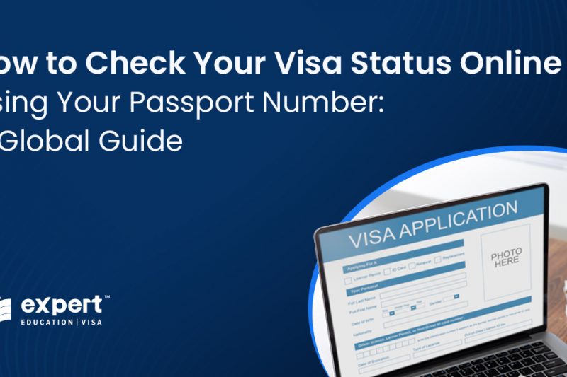 How to check you visa status online