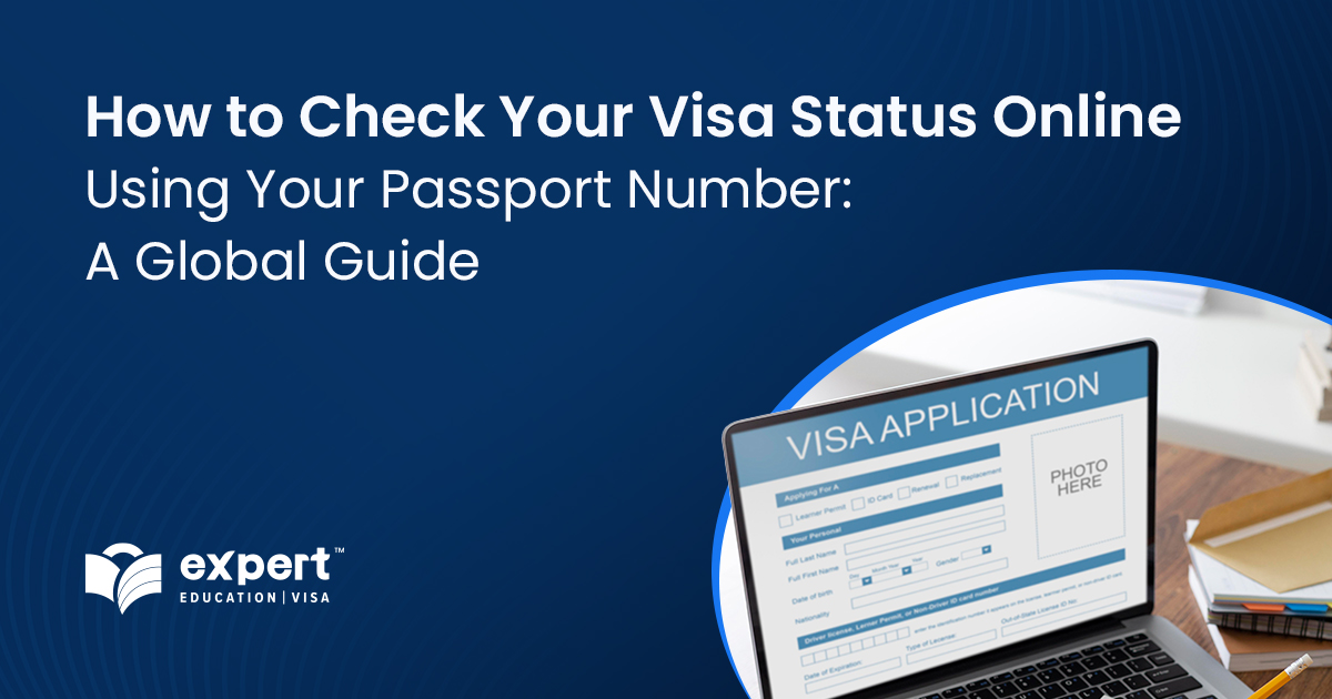 How to check you visa status online